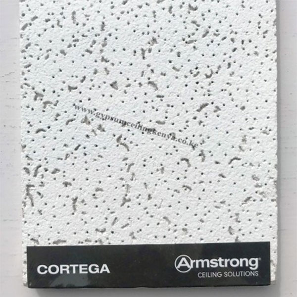 Armstrong Acoustic Ceiling Cortega